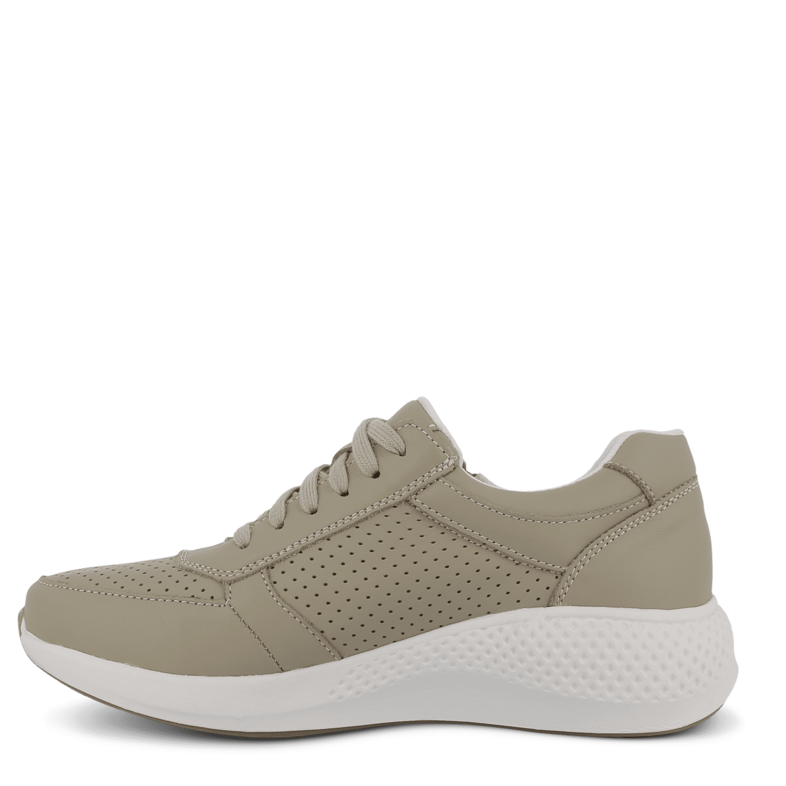 DOLPHIN DIANA - SAGE